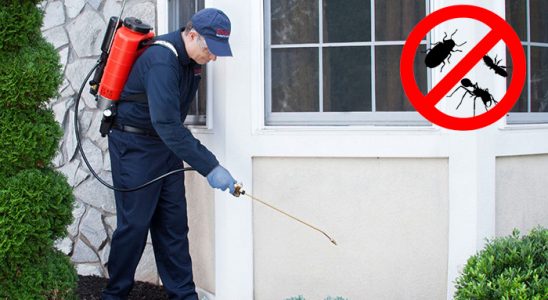 Orhaneli Fare İlaçlama böcek ilaçlama ve haşere kontrolü — ilaclama-tr.com